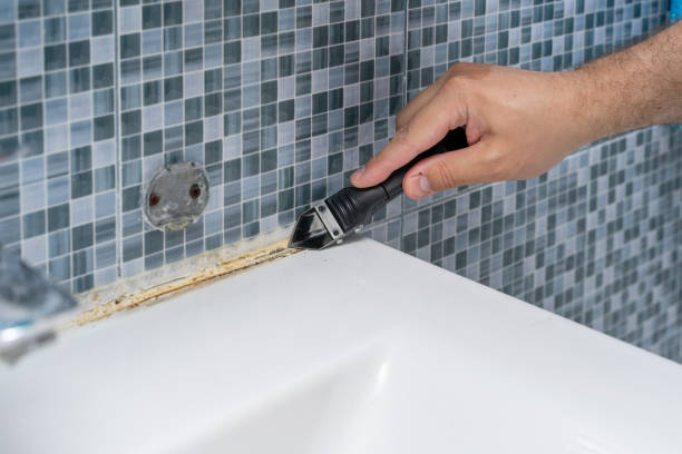 Certified Mold Removal in Ojai, CA