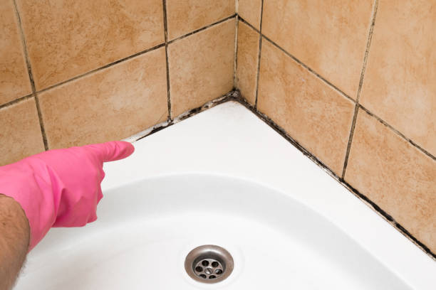 Best Crawl Space Mold Removal  in Ojai, CA